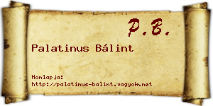 Palatinus Bálint névjegykártya