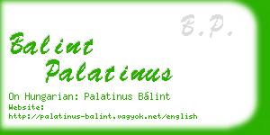 balint palatinus business card